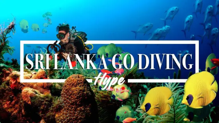 Donde Hacer Snorkel En Sri Lanka Actualizado Noviembre 2024