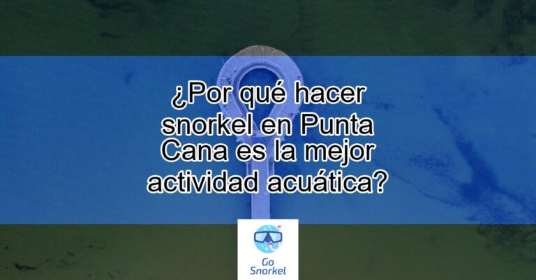 Los Mejores Sitios Para Hacer Snorkel En Punta Cana Actualizado Marzo