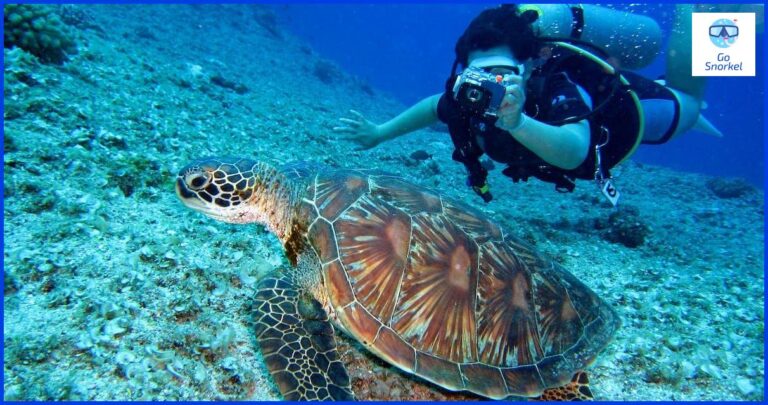 Cómo funciona un submarino