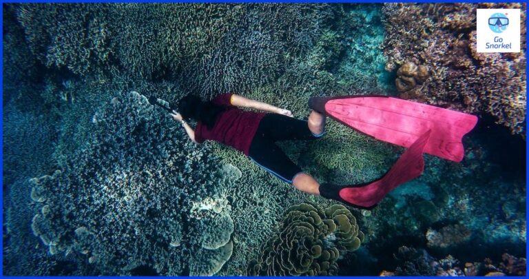 Cómo usar el snorkel de forma adecuada para disfrutar del mejor buceo submarino Cómo usar el snorkel de forma adecuada para disfrutar del mejor buceo submarino