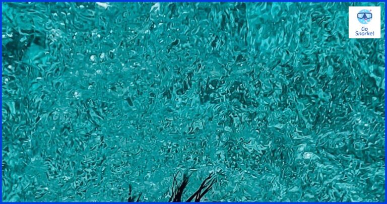 Descubre el fascinante mundo del buceo en Donosti