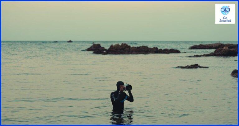 Descubre el fascinante mundo del buceo en Donosti
