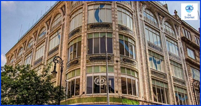 Descubre el fascinante mundo del snorkel en El Hierro