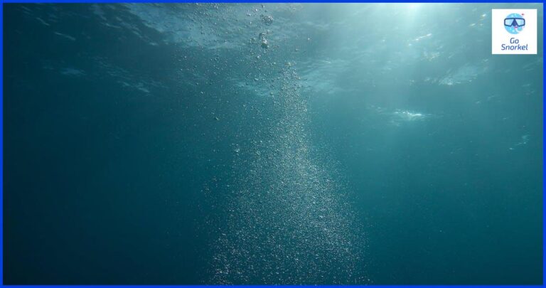 Descubre el maravilloso mundo submarino de Torrevieja con Snorkel Descubre el maravilloso mundo submarino de Torrevieja con Snorkel