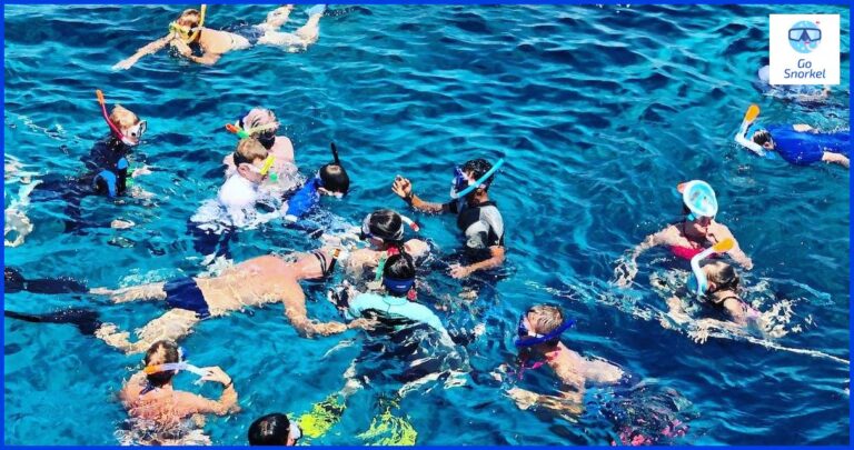 Descubre el mundo submarino con el snorkel que es Descubre el mundo submarino con el snorkel que es