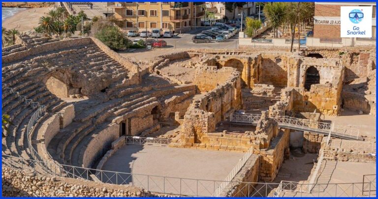 Descubre el mundo submarino de Tarragona con el mejor Snorkel