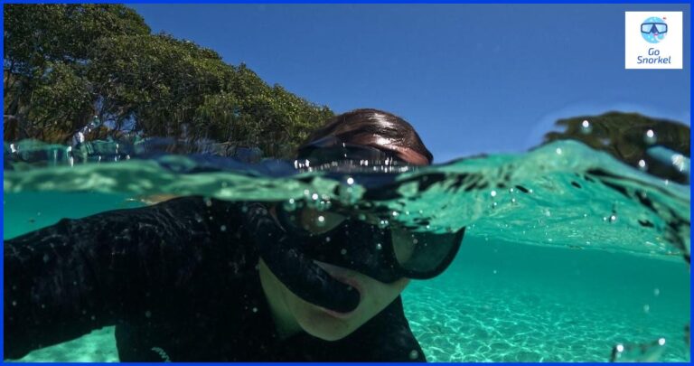 Descubre la belleza del Snorkel en Manzanillo Descubre la belleza del Snorkel en Manzanillo