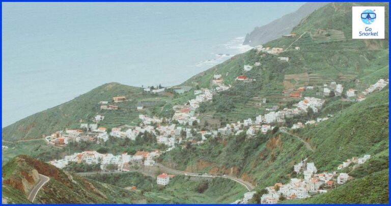 Descubre la belleza submarina: Snorkel con tortugas en Tenerife