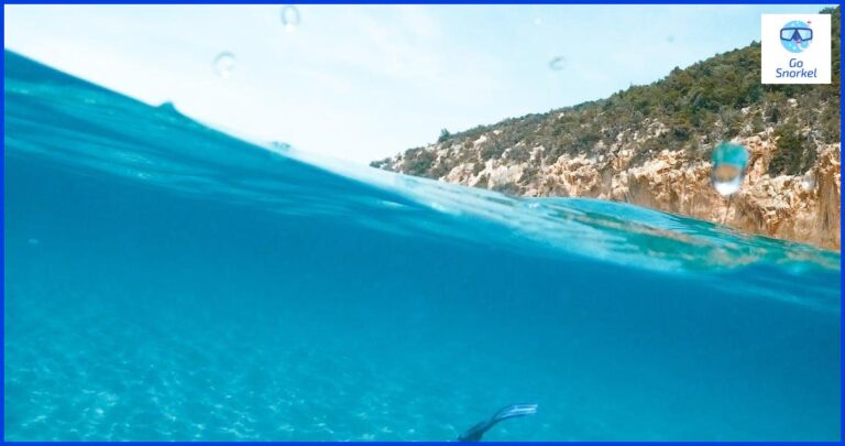 Descubre la belleza submarina de Cambrils a través del snorkeling Descubre la belleza submarina de Cambrils a través del snorkeling