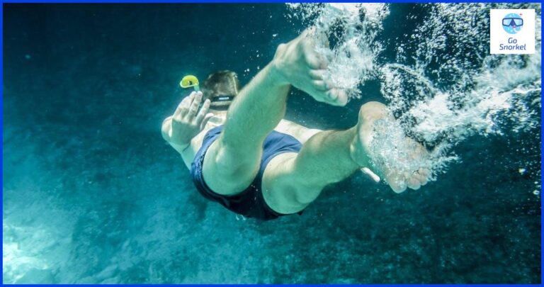 Descubre la maravillosa vida submarina de Cahuita con nuestro tour de snorkel Descubre la maravillosa vida submarina de Cahuita con nuestro tour de snorkel