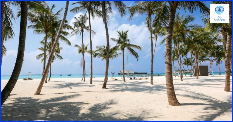 Descubre las mejores calas de Almuñécar