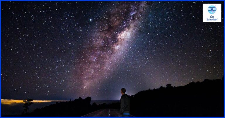 Descubre las mejores excursiones de snorkel en Tenerife