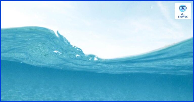 Descubre los mejores lugares de Snorkeling en Coco Cay Descubre los mejores lugares de Snorkeling en Coco Cay