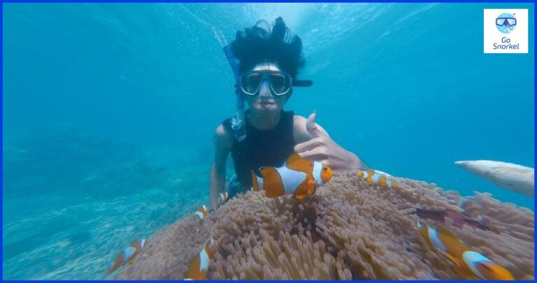Descubre los mejores puntos para hacer snorkel en Santa Marta