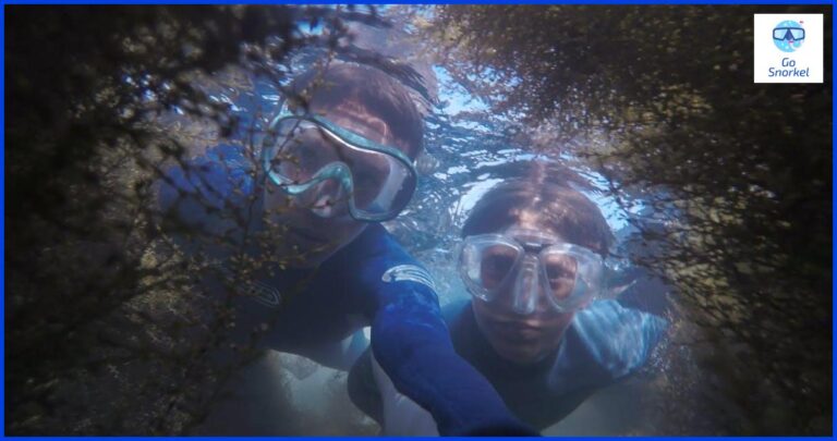 Descubre los secretos del snorkel en Tarifa