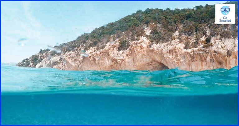 Descubre los secretos del snorkel en Tarifa