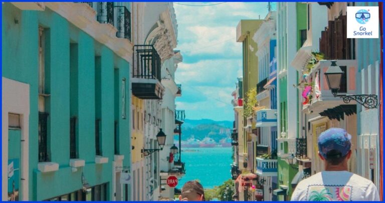 Disfruta de la Isla de Ons con tu perro