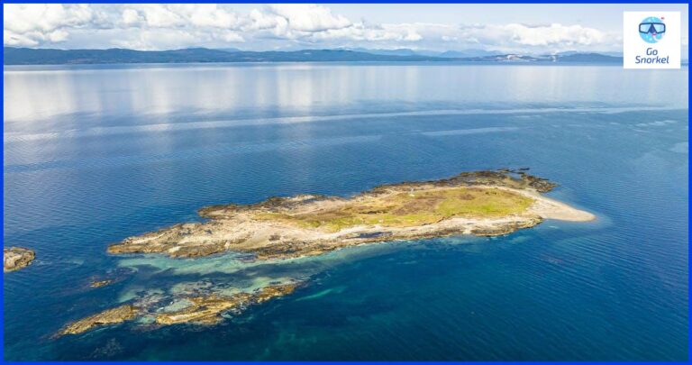 Disfruta de la Isla de Ons con tu perro