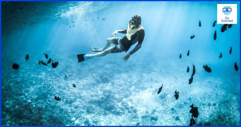 Esnórquel en Bahamas: Descubre las maravillas submarinas de uno de los destinos más espectaculares del Caribe