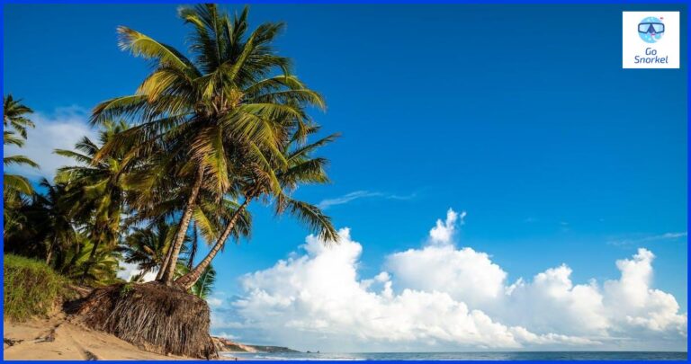 Kuba Playa Larga - Una guía completa para tus vacaciones en la playa Kuba Playa Larga - Una guía completa para tus vacaciones en la playa