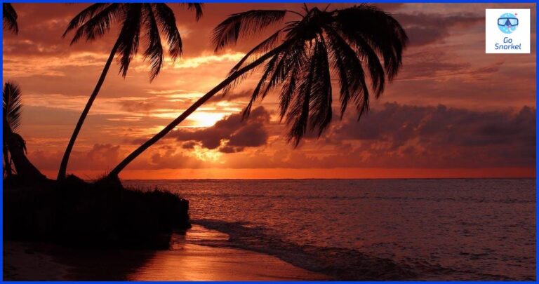 Kuba Playa Larga - Una guía completa para tus vacaciones en la playa Kuba Playa Larga - Una guía completa para tus vacaciones en la playa