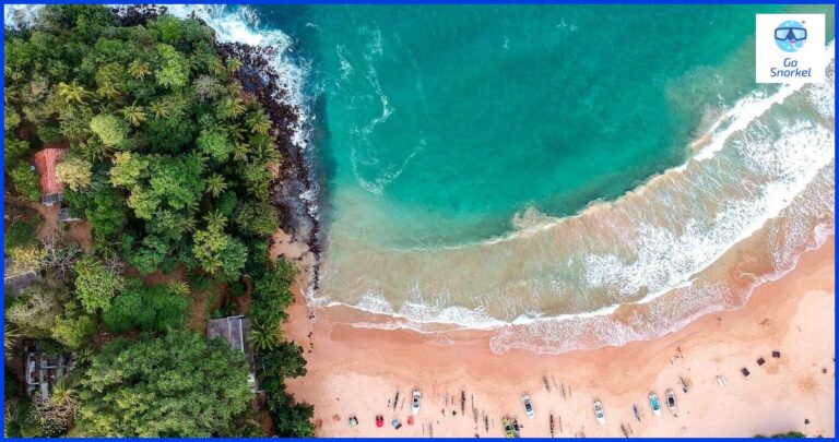 ¿Por qué hay tiburones en Sri Lanka?