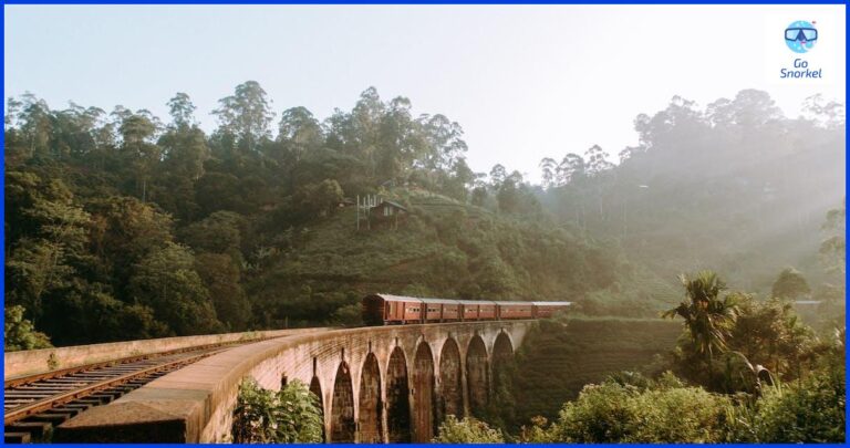 ¿Por qué hay tiburones en Sri Lanka?