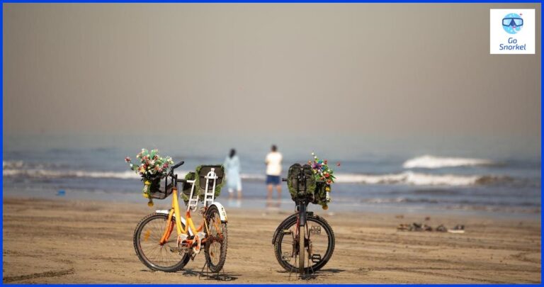 Sharma Climbing Gava: la mejor experiencia de escalada en Barcelona Sharma Climbing Gava: la mejor experiencia de escalada en Barcelona