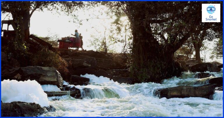 Todo lo que necesitas saber sobre Malindi Watamu Todo lo que necesitas saber sobre Malindi Watamu
