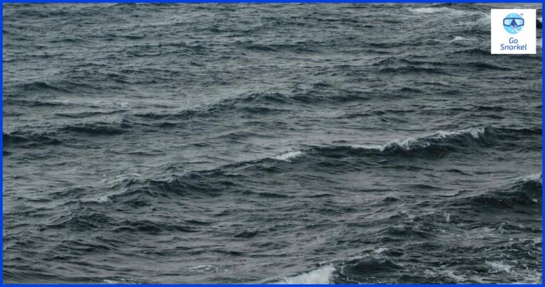 Todo lo que necesitas saber sobre el snorkeling en Jeju