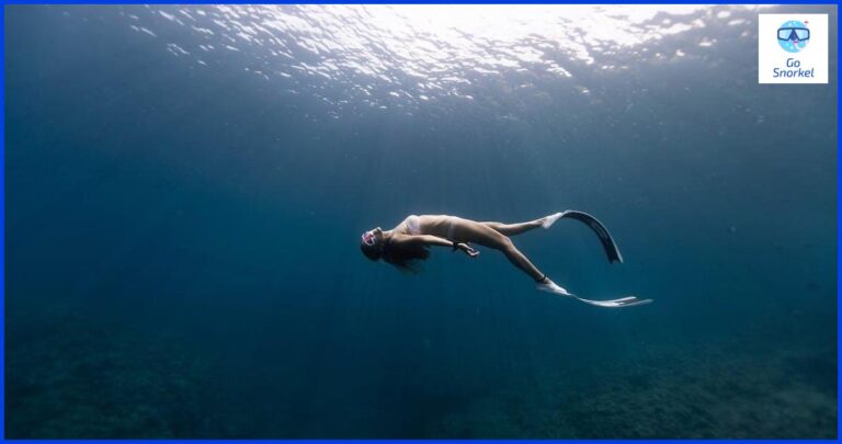 Tubo Snorkel: La Guía Completa Tubo Snorkel: La Guía Completa